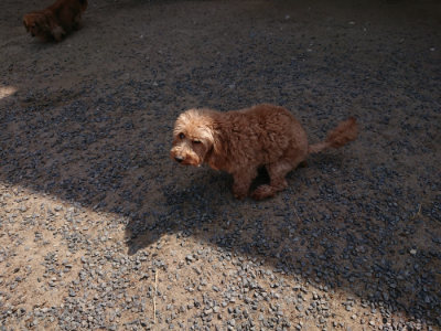 f:id:roukenhome-ann:20190527143700j:plain