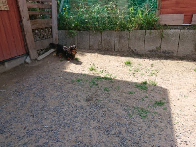 f:id:roukenhome-ann:20190527143707j:plain