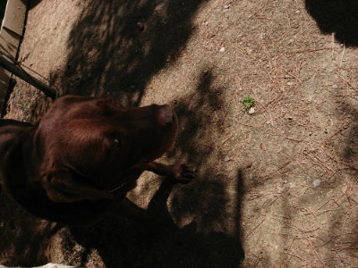 f:id:roukenhome-ann:20190527143712j:plain