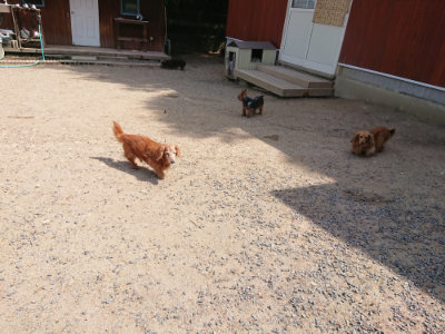 f:id:roukenhome-ann:20190527143724j:plain