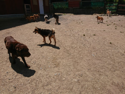 f:id:roukenhome-ann:20190527143736j:plain