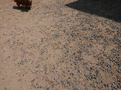f:id:roukenhome-ann:20190527143742j:plain