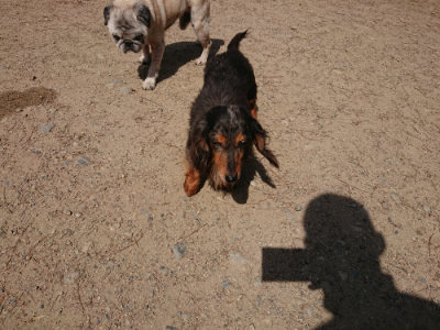 f:id:roukenhome-ann:20190527143748j:plain
