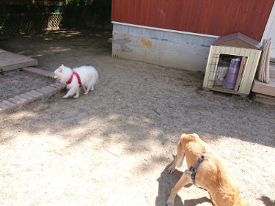 f:id:roukenhome-ann:20190527143759j:plain