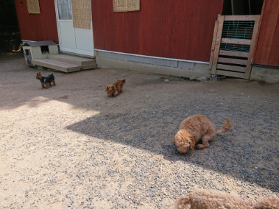 f:id:roukenhome-ann:20190527143805j:plain
