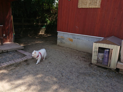 f:id:roukenhome-ann:20190527143809j:plain