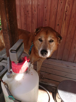 f:id:roukenhome-ann:20190527143815j:plain