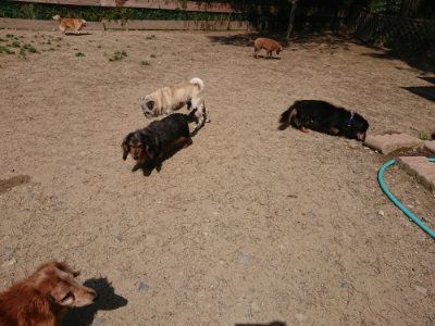 f:id:roukenhome-ann:20190527143819j:plain