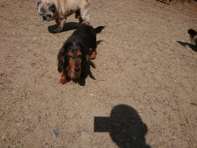 f:id:roukenhome-ann:20190527143826j:plain