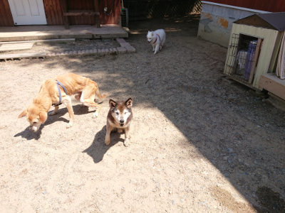 f:id:roukenhome-ann:20190527143832j:plain