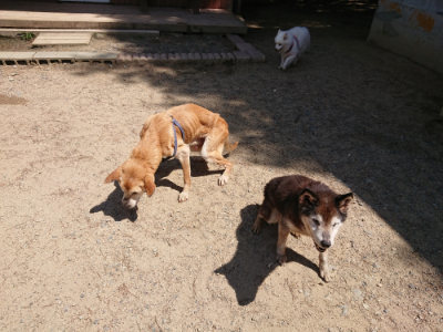 f:id:roukenhome-ann:20190527143838j:plain