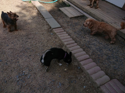 f:id:roukenhome-ann:20190527143843j:plain