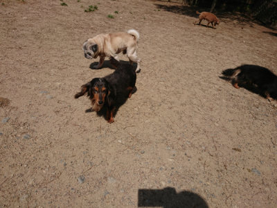 f:id:roukenhome-ann:20190527143849j:plain