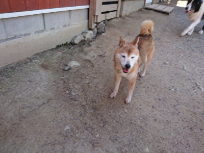 f:id:roukenhome-ann:20190527143912j:plain