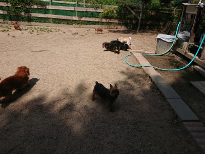 f:id:roukenhome-ann:20190527143920j:plain
