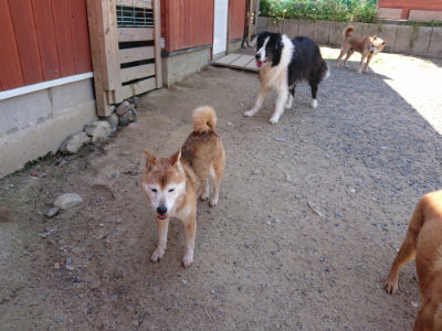 f:id:roukenhome-ann:20190527143933j:plain