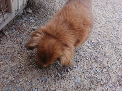 f:id:roukenhome-ann:20190527143938j:plain