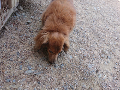 f:id:roukenhome-ann:20190527143944j:plain