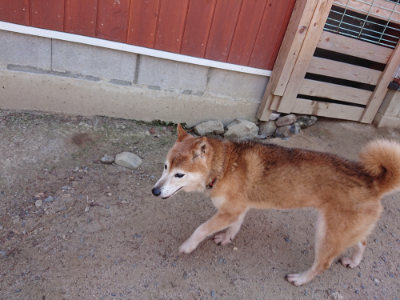 f:id:roukenhome-ann:20190527143948j:plain