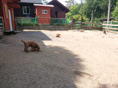 f:id:roukenhome-ann:20190527144001j:plain