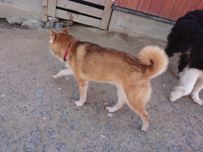 f:id:roukenhome-ann:20190527144007j:plain