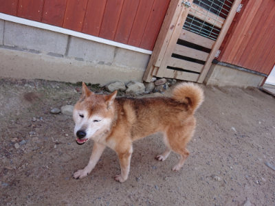 f:id:roukenhome-ann:20190527144012j:plain