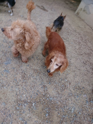 f:id:roukenhome-ann:20190527144143j:plain
