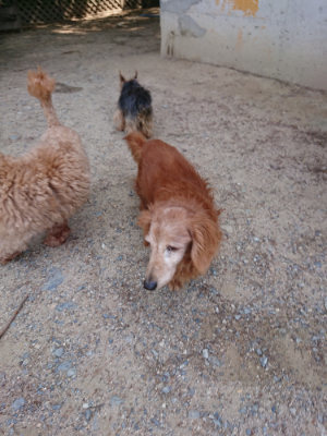 f:id:roukenhome-ann:20190527144148j:plain