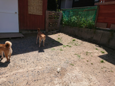 f:id:roukenhome-ann:20190527144207j:plain