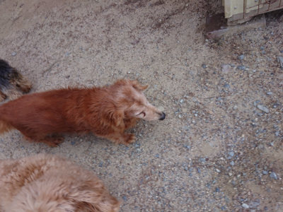f:id:roukenhome-ann:20190527144215j:plain