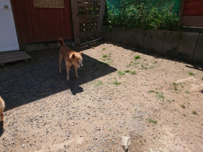 f:id:roukenhome-ann:20190527144222j:plain