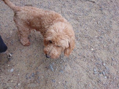 f:id:roukenhome-ann:20190527144228j:plain