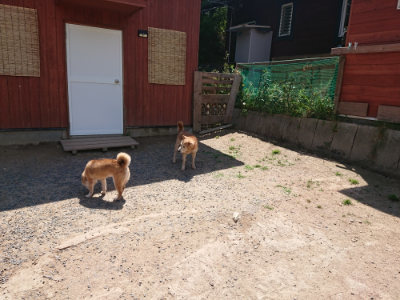 f:id:roukenhome-ann:20190527144233j:plain