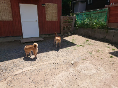 f:id:roukenhome-ann:20190527144244j:plain