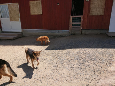 f:id:roukenhome-ann:20190527144302j:plain