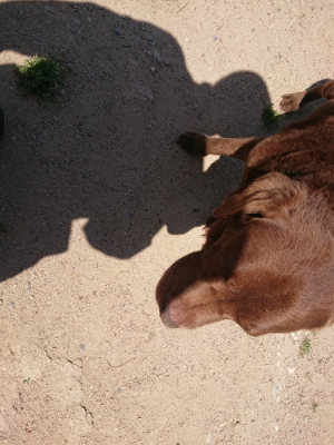 f:id:roukenhome-ann:20190527144308j:plain