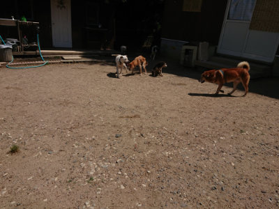 f:id:roukenhome-ann:20190527144312j:plain