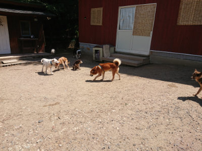 f:id:roukenhome-ann:20190527144317j:plain