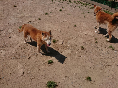 f:id:roukenhome-ann:20190527144453j:plain