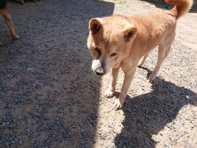 f:id:roukenhome-ann:20190527144504j:plain