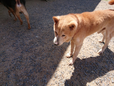 f:id:roukenhome-ann:20190527144508j:plain