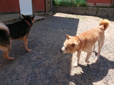 f:id:roukenhome-ann:20190527144533j:plain