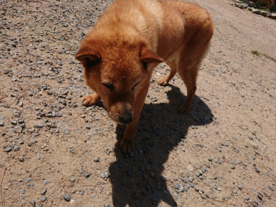 f:id:roukenhome-ann:20190527144546j:plain