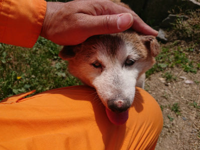 f:id:roukenhome-ann:20190527144557j:plain