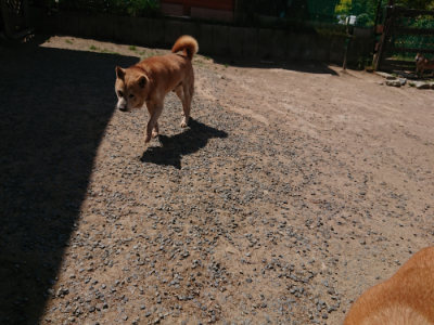 f:id:roukenhome-ann:20190527144602j:plain