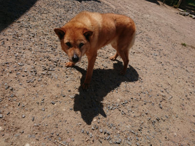 f:id:roukenhome-ann:20190527144619j:plain