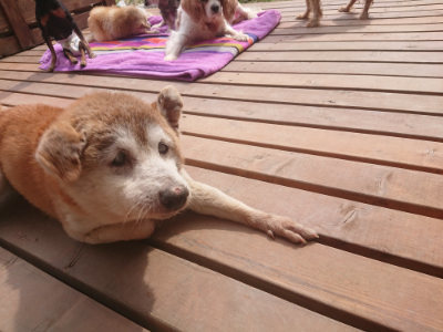 f:id:roukenhome-ann:20190527153617j:plain