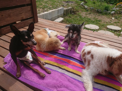 f:id:roukenhome-ann:20190527153701j:plain