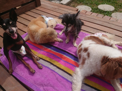 f:id:roukenhome-ann:20190527153825j:plain