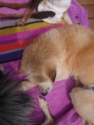 f:id:roukenhome-ann:20190527153838j:plain